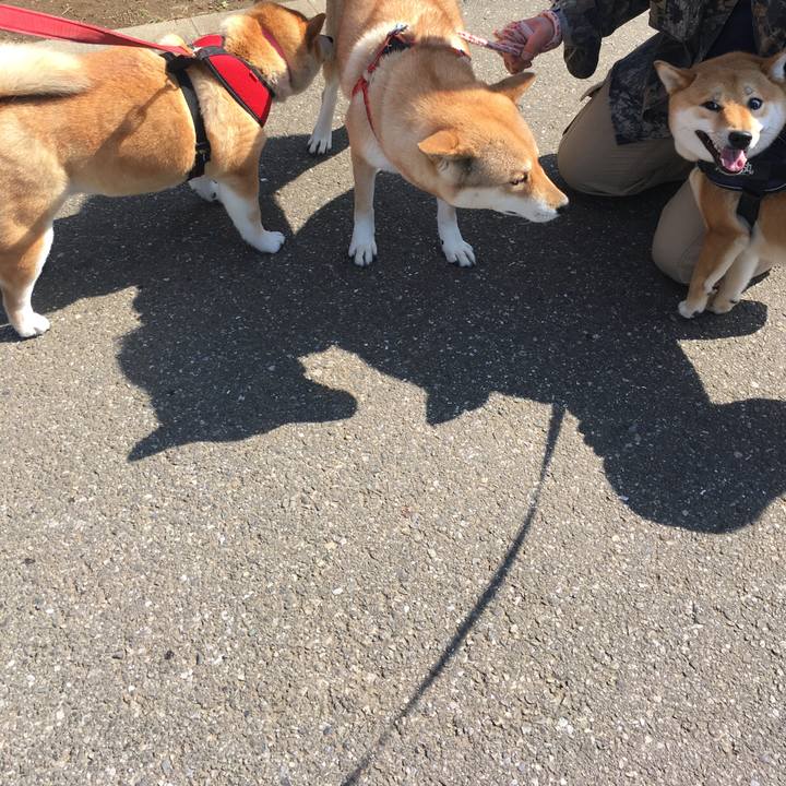 A375a3eb 35a2 4e5b b2da 71bb7b8b7f8c 1616549877939