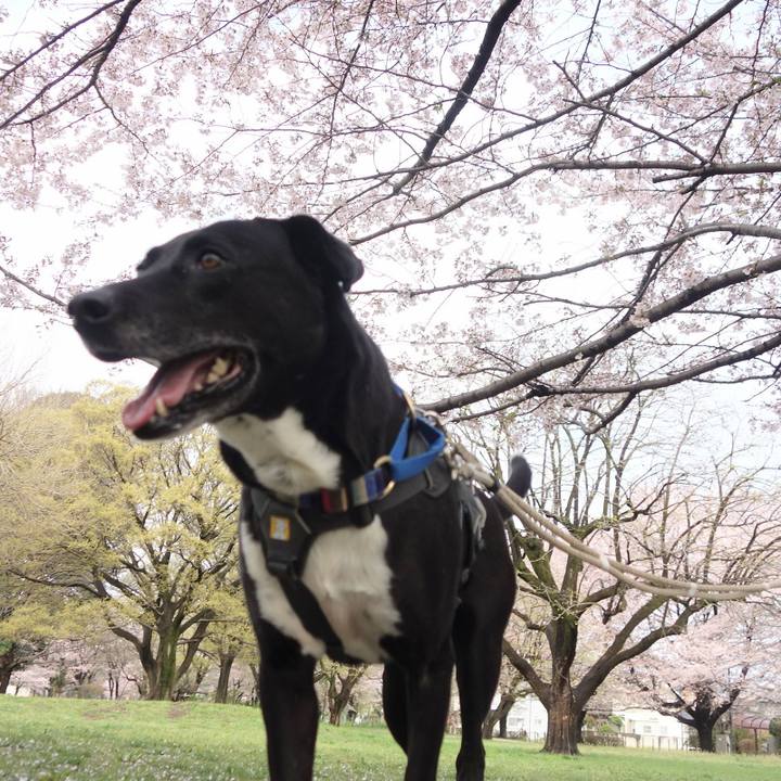 A375cd0d 69bf 4c1f ad3e 5a50a95ffa67 1649118663103