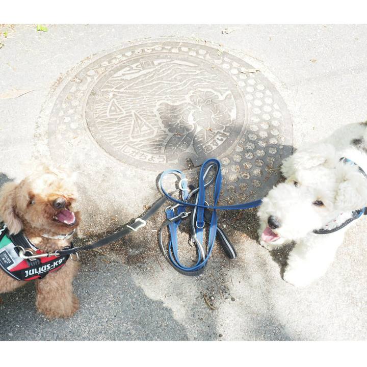 A375cd15 8016 4d7c b5d6 eb7ed898e6fa 1527852610668