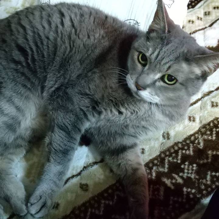 A375f48d af6a 4b80 ba21 cb1560fff281 1676980024669