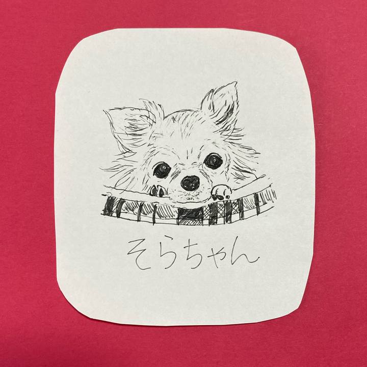 A376220c ab98 46a8 983e 31524e1d3bc6 1618804828617