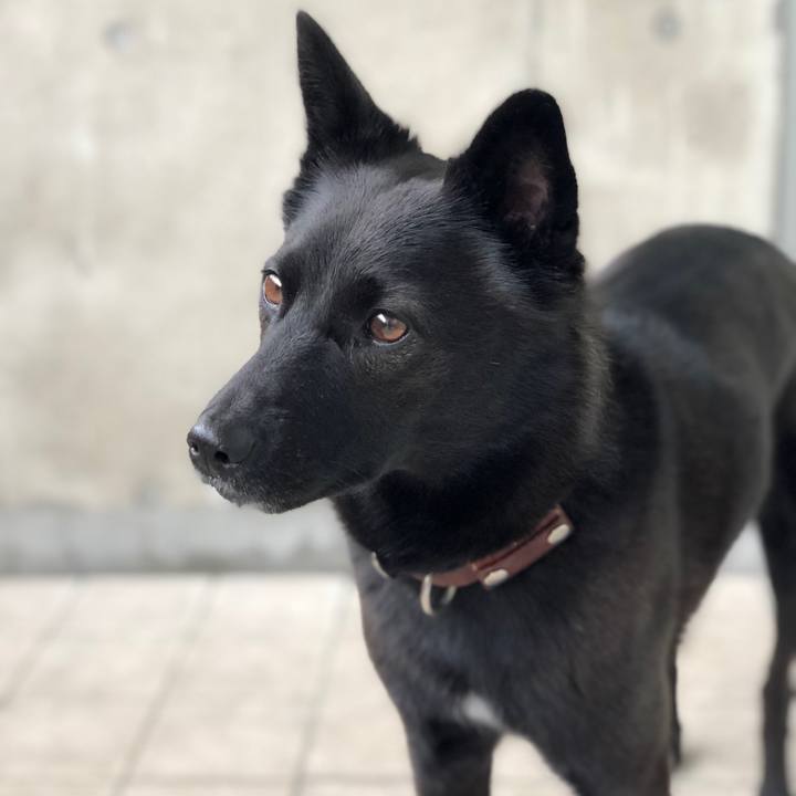 A376beff 922f 484c 9139 f0d90da020c7 1574984081661