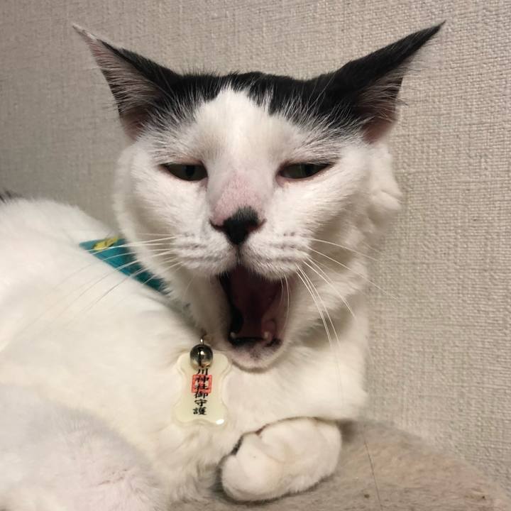 A376c53c 4640 4e1a a471 62b6849f1327 1533906794620