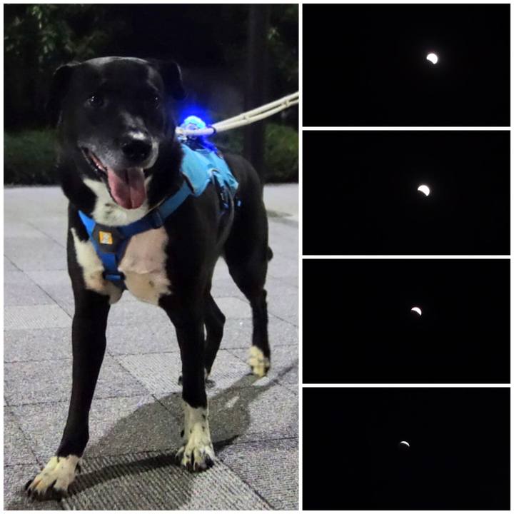 A376cc99 911e 4bf0 a332 36e1b621039d 1667903944428