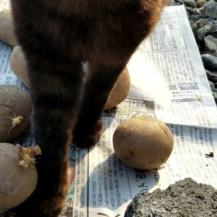 A376cfd8 ca1c 4889 9d86 1d4c01052487 1653488715252