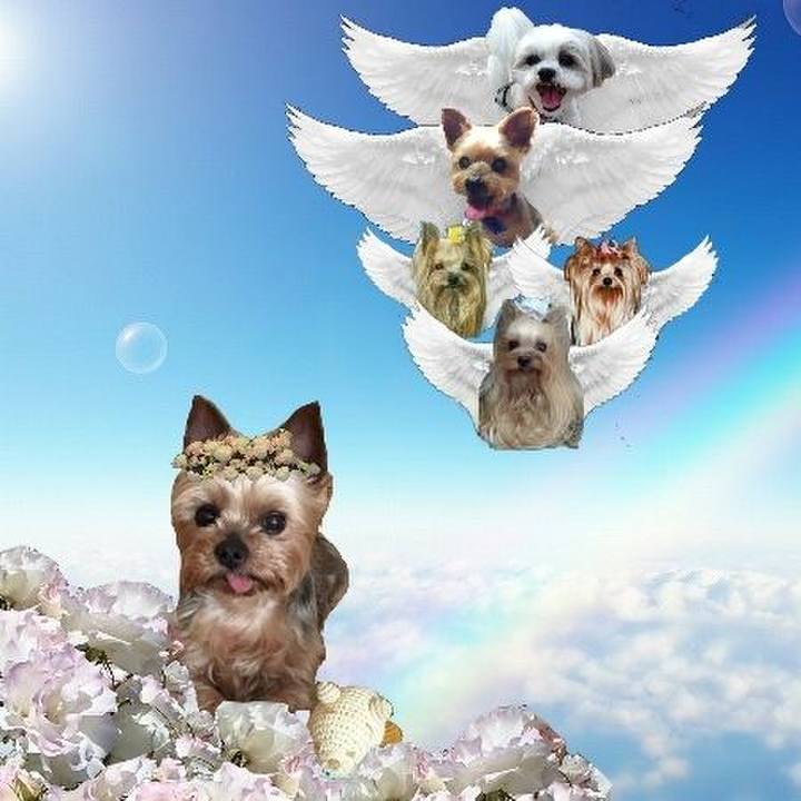 A3771a20 4a09 4ca2 a136 1fd09fa7c758 1686923547937