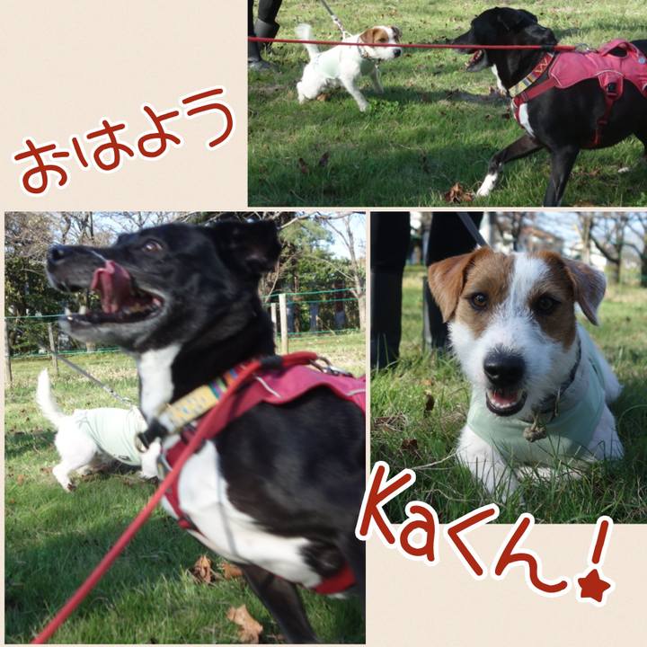 A377394d cf44 4996 87c4 9422c7b584ff 1697590131236