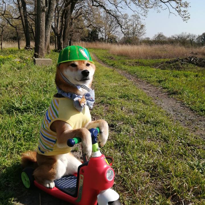 A3778025 b8a6 4f1d ad83 7c7abaa7e23e 1585989760397