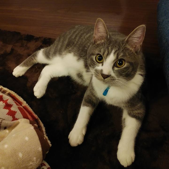 A377aff0 2e8d 4e3c 8771 2360be03d9b0 1576333686046