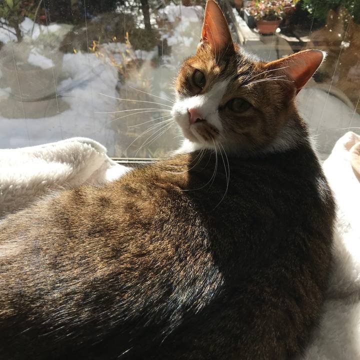 A377e2e5 a76a 4ef2 9132 a21f4d28fdc5 1516852918800