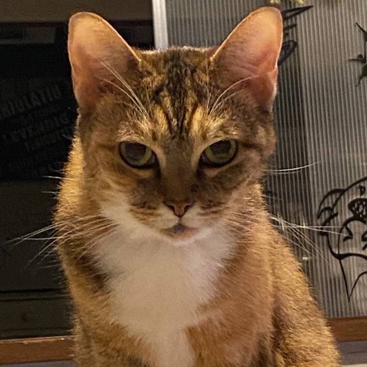 A377f526 eeca 495a b2d0 70001694c4f0 1603720197604