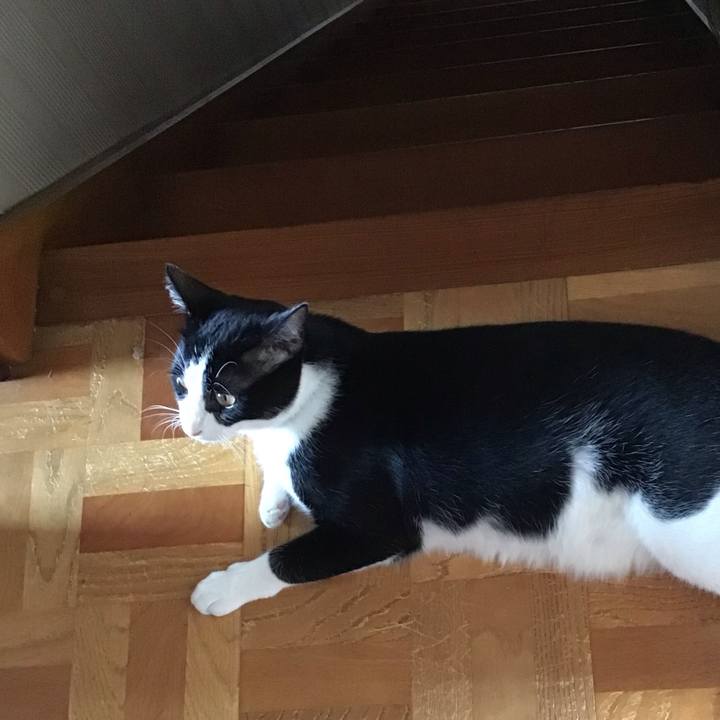 A3780787 f1f7 4316 9482 761358e90e87 1658409441454