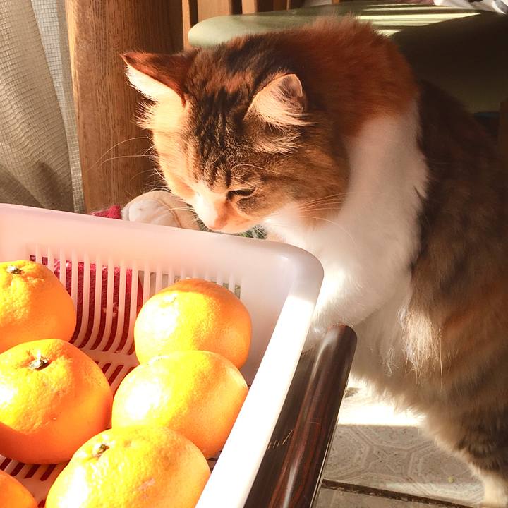 A37821c9 23be 431a 9699 713f5f8addae 1573625037254