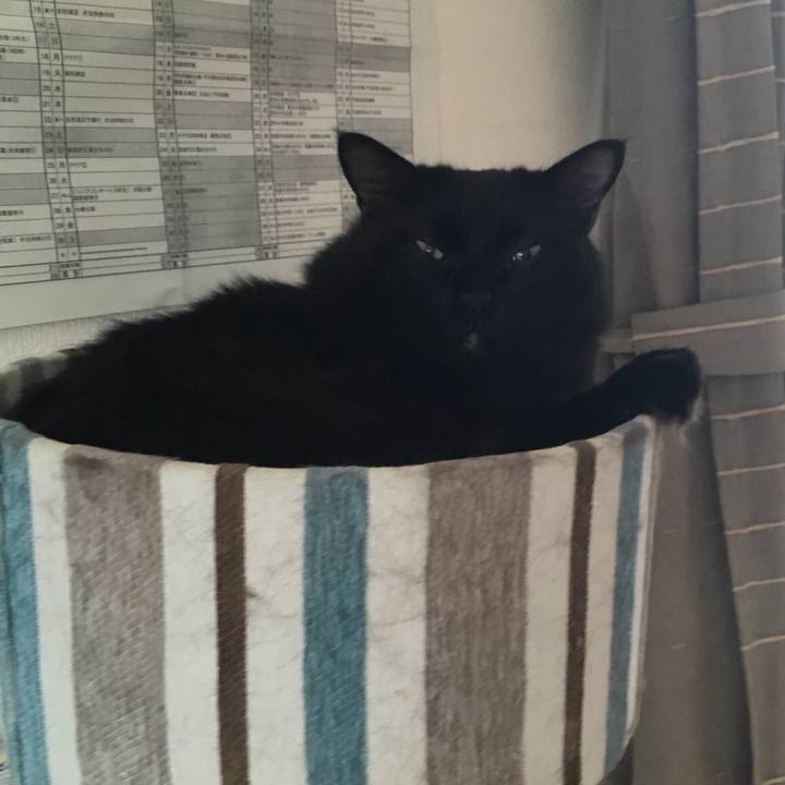 A3785962 0483 410b be3f 58eee97542d4 1536823485149