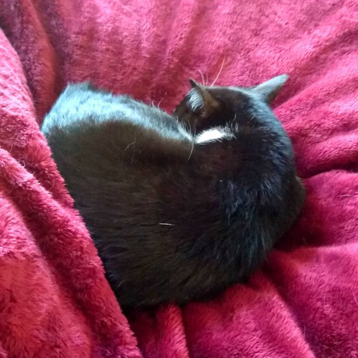 A37865fd 8edf 4065 a004 cf53390fdb25 1514634615916