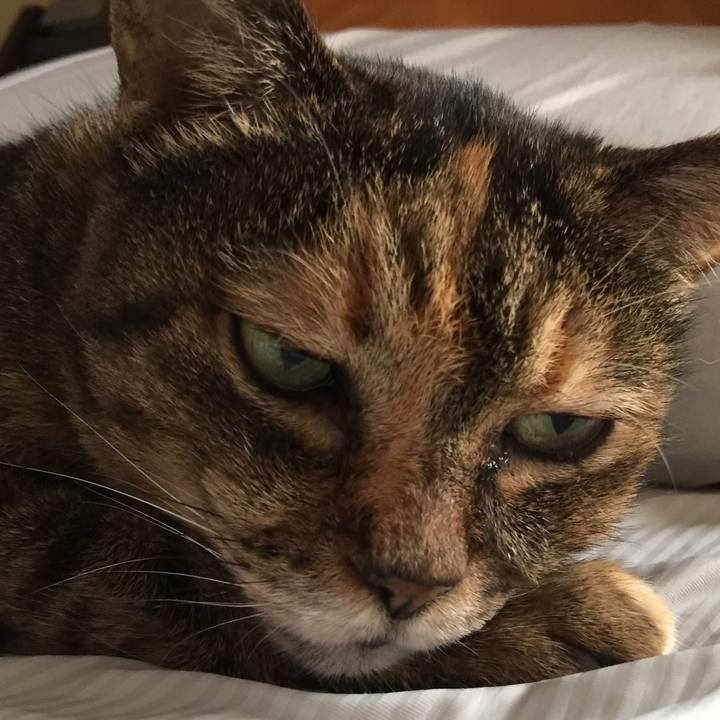 A3786da7 ca5e 4577 9626 ebba2e33529a 1628570661319