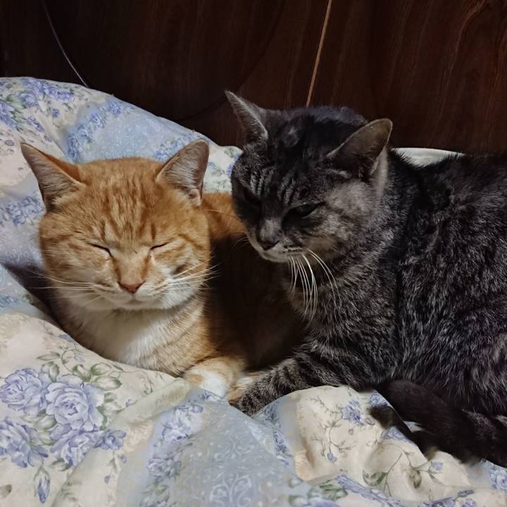 A378ad9f 54ff 41ad 8e20 2b4ef4265841 1581682310250