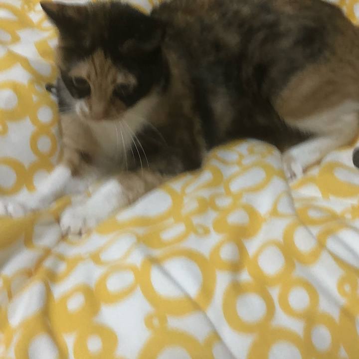 A378af1b cad9 442e 812f b23c9989d30b 1588395041158