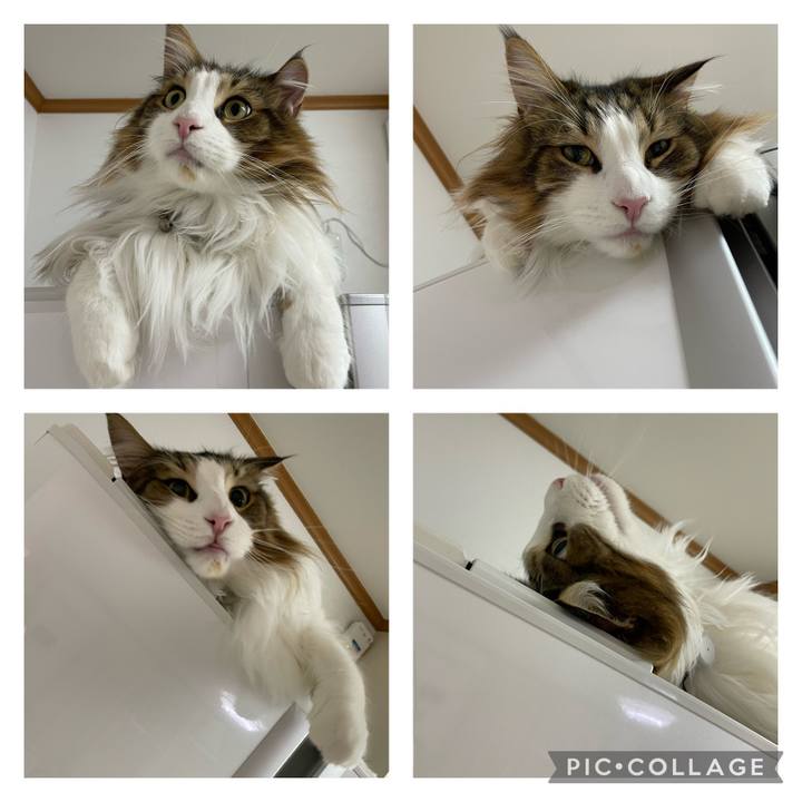 A378b4f1 0e2a 4659 af69 1a32cbf4a832 1677963123505