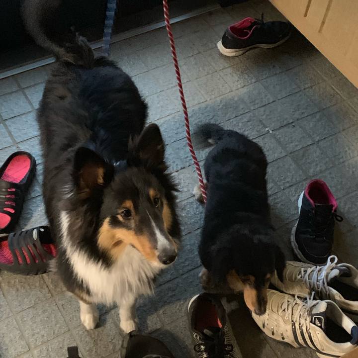 A378d4e8 b4aa 405f 9995 0660de439f48 1547504203454