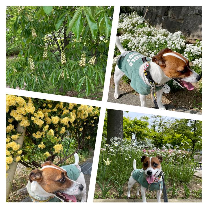 A378f0f0 8008 4187 b7ea 64cf0d28a0a6 1651929110707