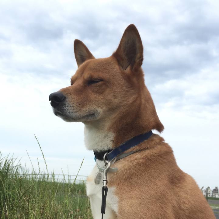 A378fc3a ed38 4b14 8c66 66c2309a08ff 1548158254522