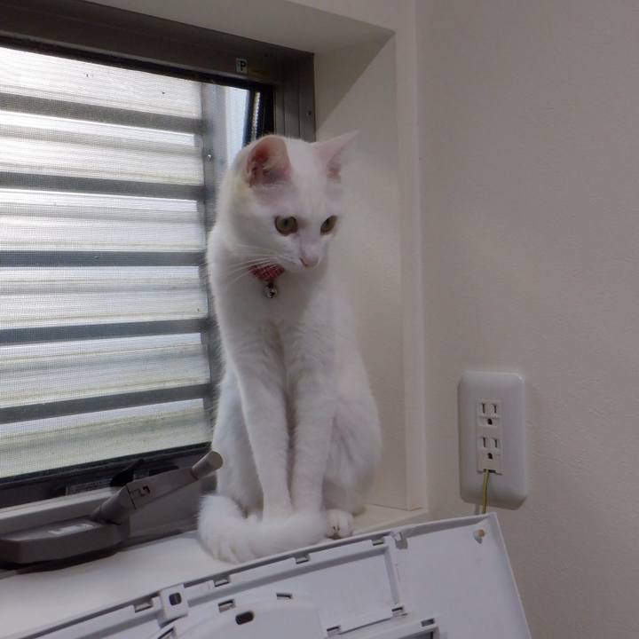 A3790514 5260 40a4 8ce1 913fd1918671 1633656663241