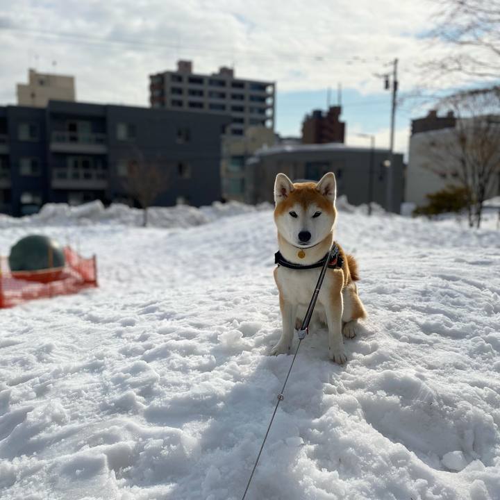 A3791e13 ea78 40ac b6b8 0da4c89becfc 1647502690922