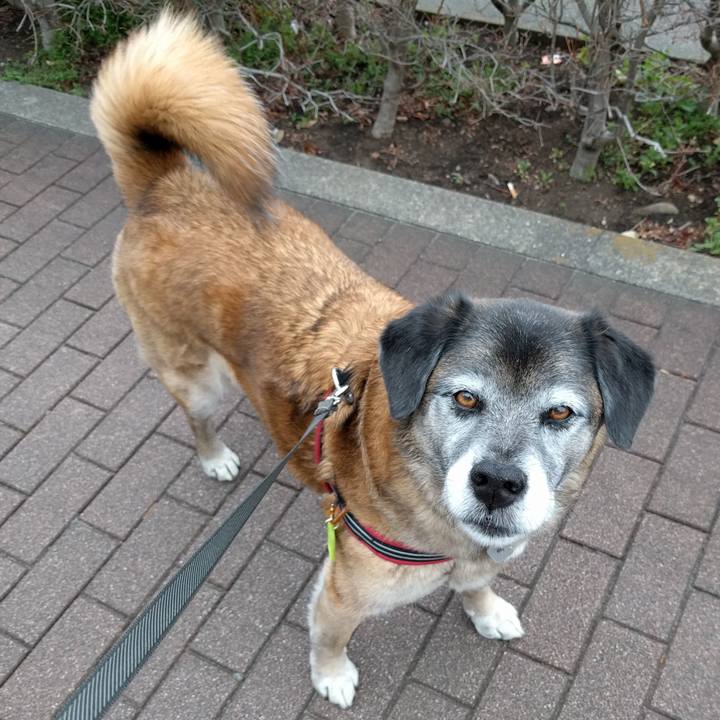 A37948bf 922f 406d 9c5c f15104d5a0e4 1521160216760