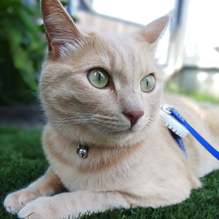 A3794ffa 2530 48bd 9459 9f9574d92db4 1628905582856