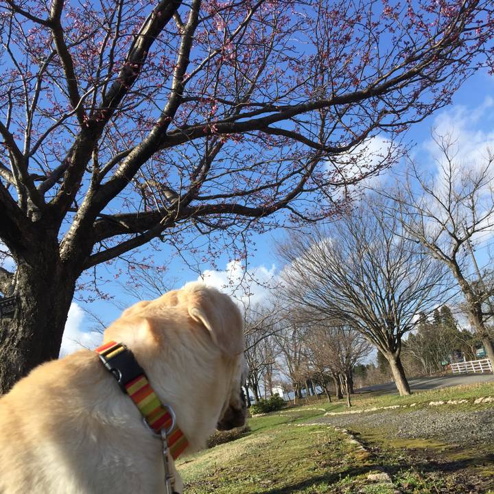 A3795a82 9902 4841 b72e 1a66e1376faa 1523173168867