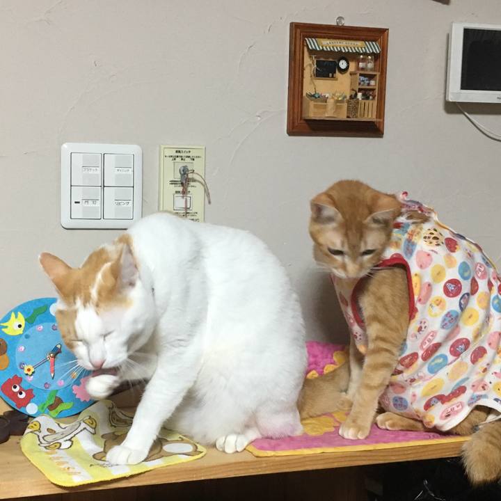 A3797220 9c05 4223 bc60 c3f008513305 1509570595870