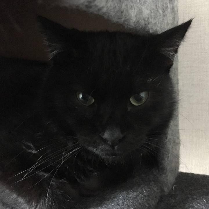 A37979d2 0632 4956 bd5c 4abe7bb443bc 1534421282815