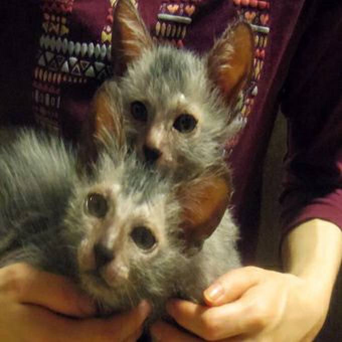 A37989c9 8c6f 47e0 9d1c 760589594e15 1510566645677