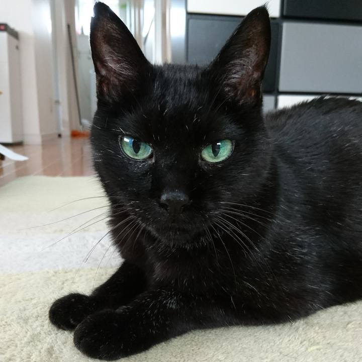 A3798b1b fe19 4e99 9bde 378af89784f4 1533859851357