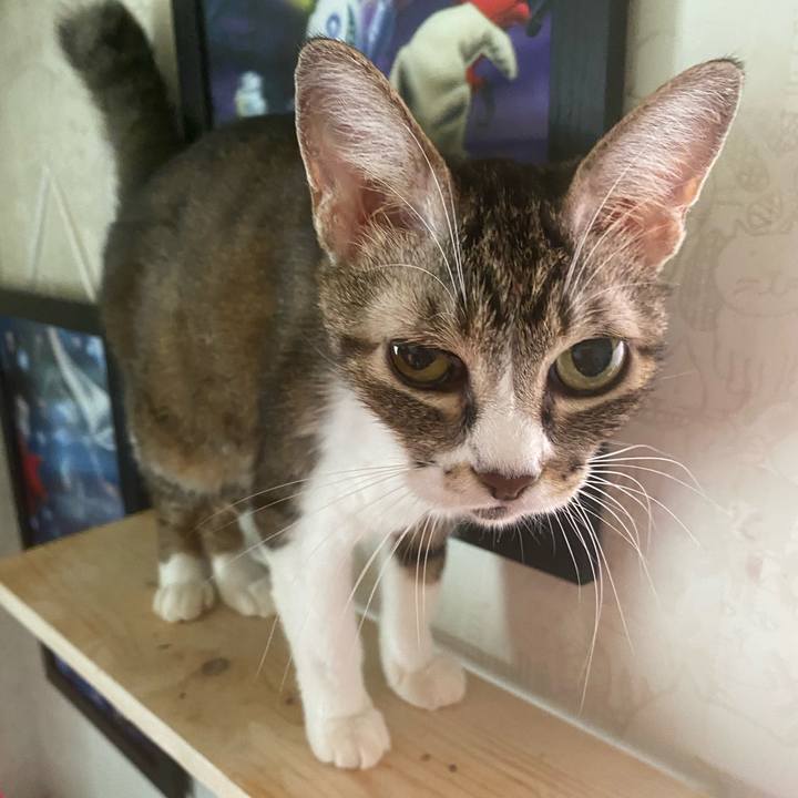 A379aaf8 a76b 4b36 9f84 fd6278613947 1599352601739