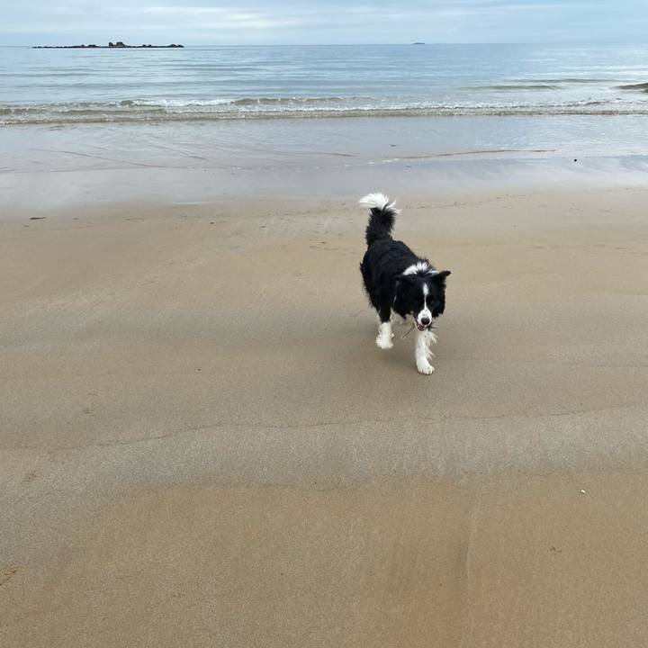 A379d160 7e0c 49af a842 410d96cbfb14 1614578473722