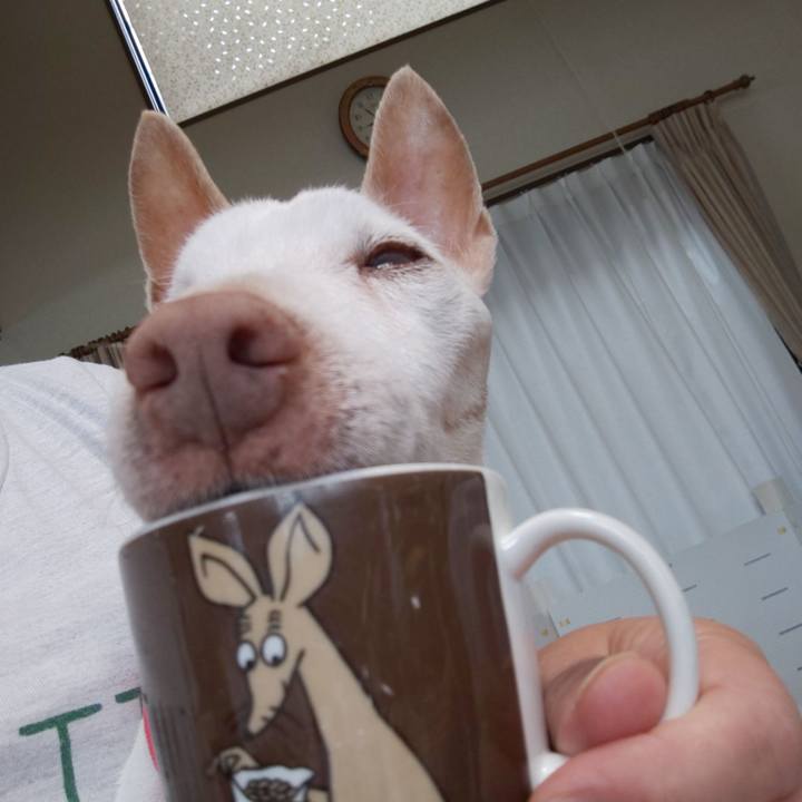 A37a0aff 8ed2 45be 867c 16ec0fa309ed 1593907793650