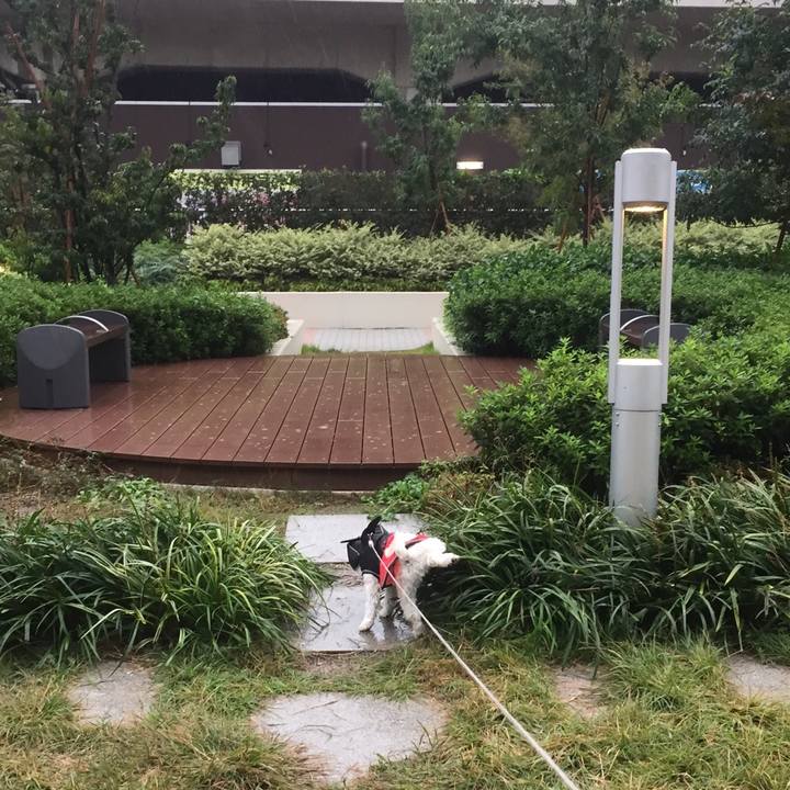 A37a22c8 4b57 44db af00 7c1ca8350659 1509255492700