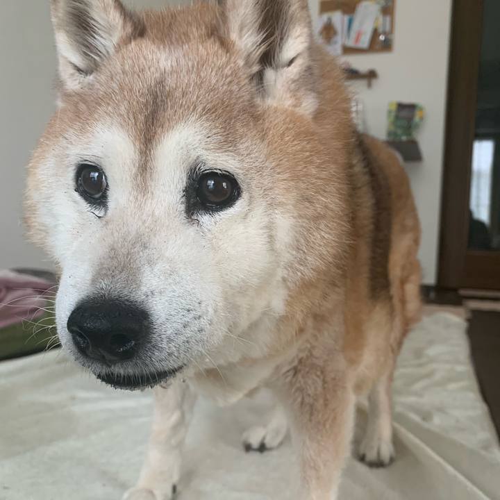 A37a4101 4ed1 4a63 b599 1e58c46e758d 1687686584370