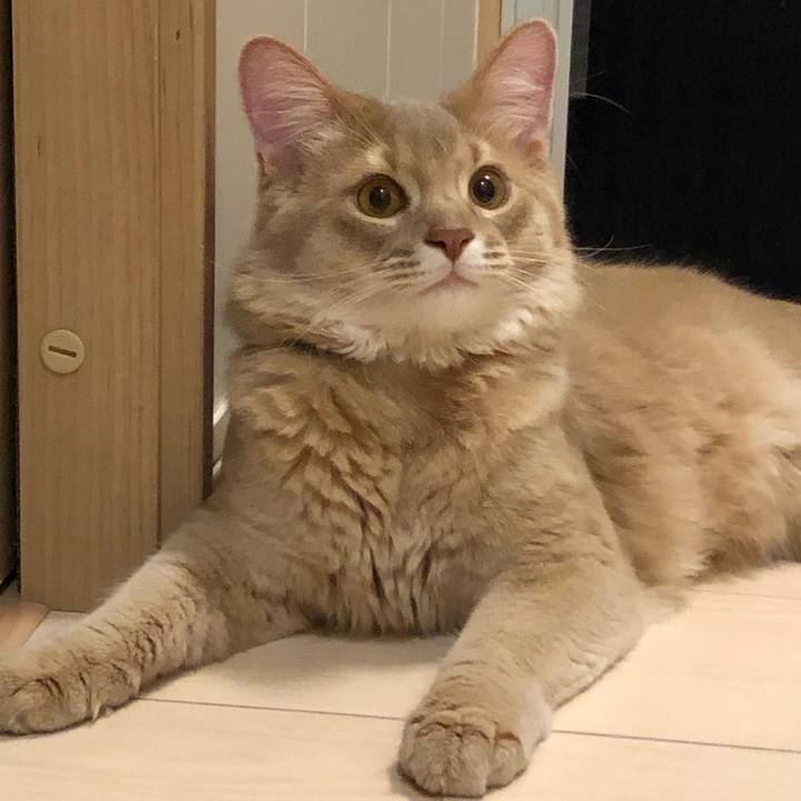 A37a8985 52bd 45b5 b18d cdf8839b7380 1552619204017