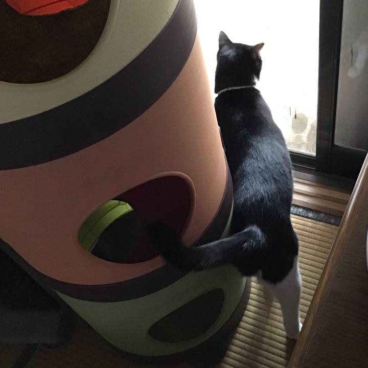 A37aba4a a941 488d 99f6 774767a58b82 1687168146998