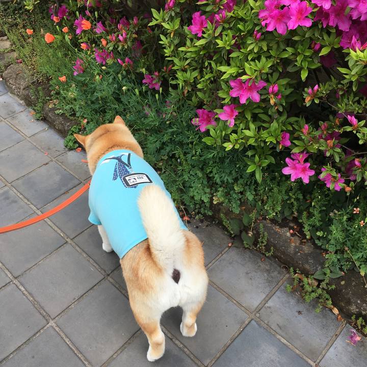 A37ac49b 9175 4814 b5df b610746eeaf1 1556600769412