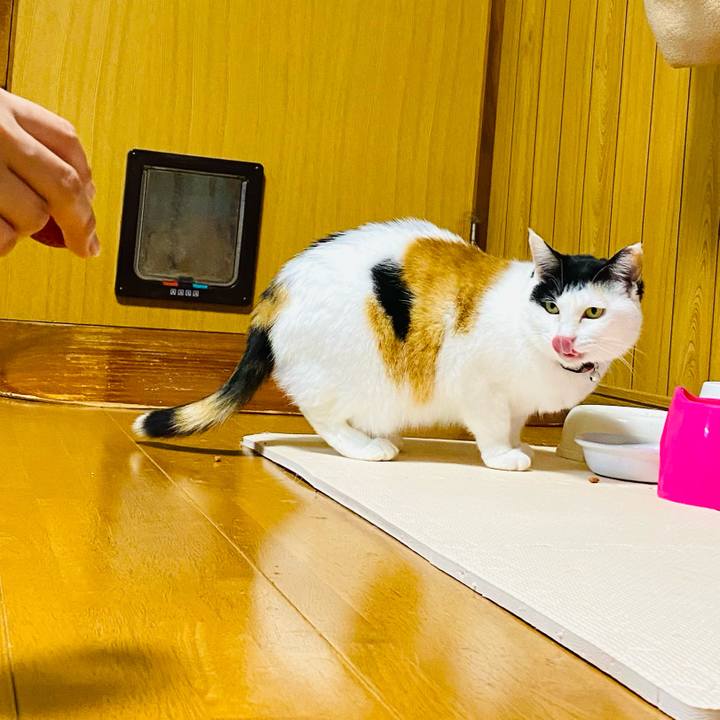 A37ad6f9 082b 4ef2 b3ed a7432548454e 1679838460703