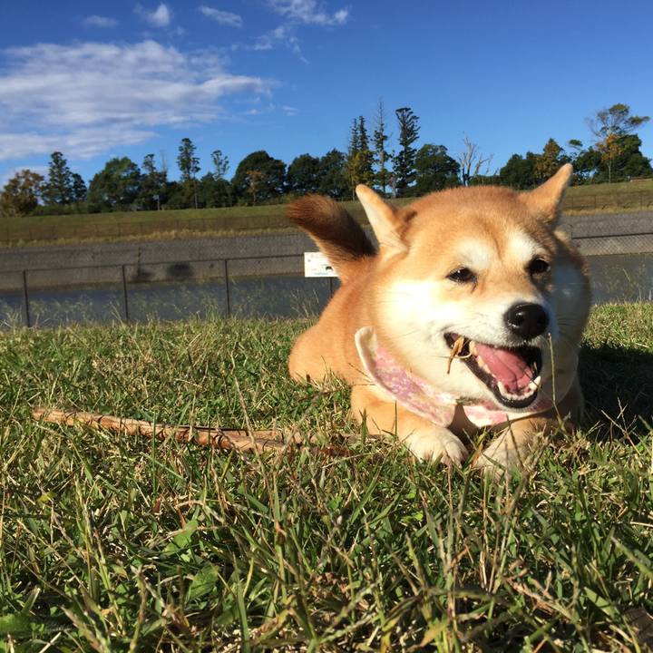 A37ade87 9de7 4cf1 9c4a fd528f850705 1509362502580