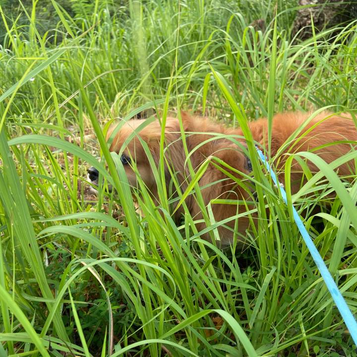 A37ae420 111f 4922 b560 deac8c62ab69 1596842475059