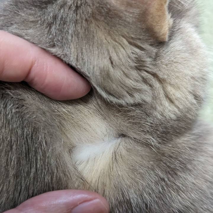 A37b3a97 5562 4111 86cc 9c8abbe2f938 1710129214656