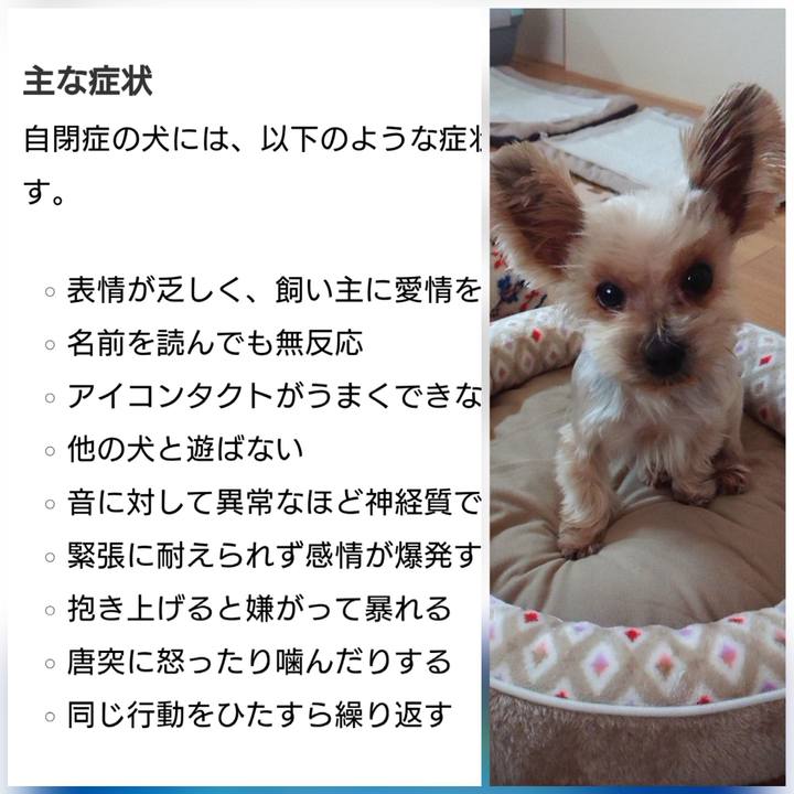 A37b50a8 4635 4194 96fd 07fb0ee48986 1595769152288