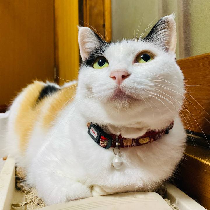 A37b554e 4aba 4436 abf4 1d2f78915ab2 1658177159997