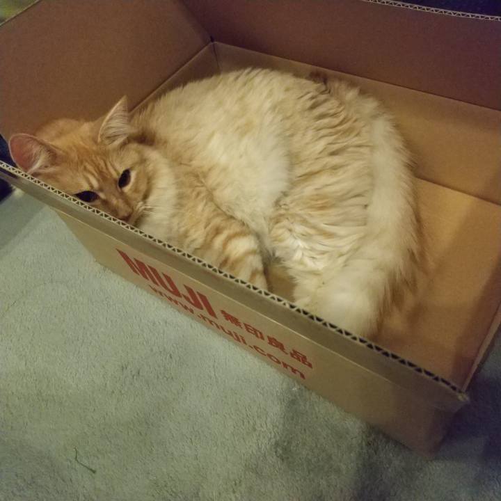 A37b59f1 1ea7 44de b448 826eaed3d616 1627389432743